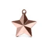 Ballon Gewicht Ster Rosegoud (140gr)
