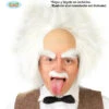 Einstein Pruik Met Kaal Voorhoofd -Vakantie Decoratie Winkel einstein pruik met kaal voorhoofd