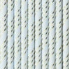 Papieren Rietjes Lichtblauw/Goud (10st) 1 Papieren Rietjes Lichtblauw/Goud (10st) -Vakantie Decoratie Winkel papieren rietjes lichtblauw goud 10st