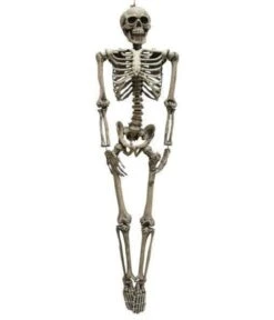 Skelet Horror Decoratie