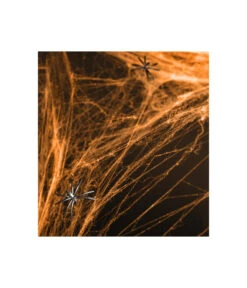 Spinnenweb Halloween Oranje Met 2 Spinnen