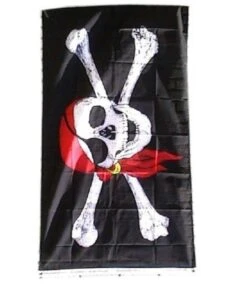 Vlag Piraten 90x150cm