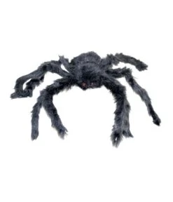 Zwarte Spin 60cm